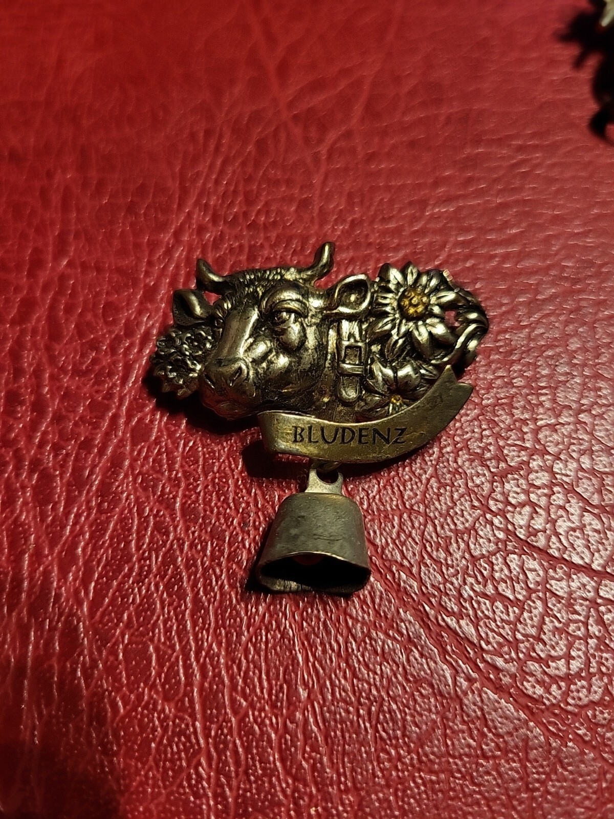 Pin Hatpin Hiking Pin Brooch Bludenz