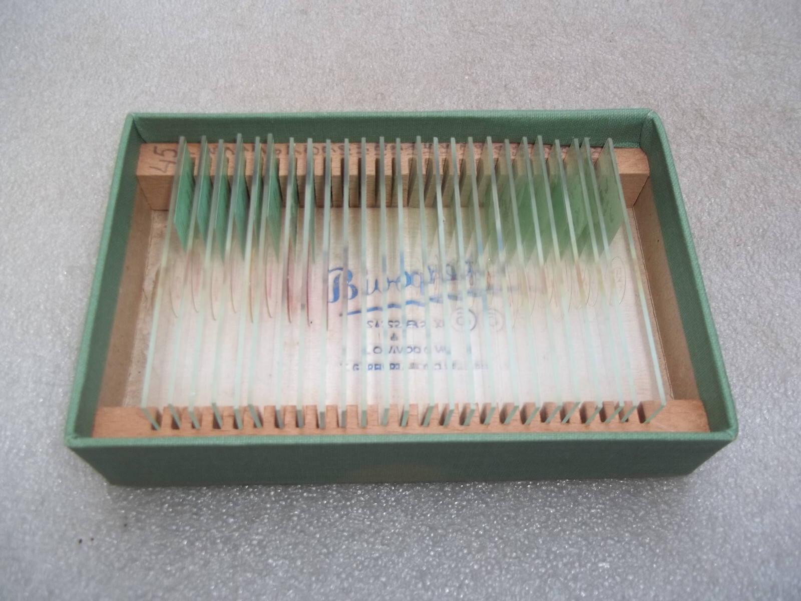 Vintage Glass Microscope Slides -