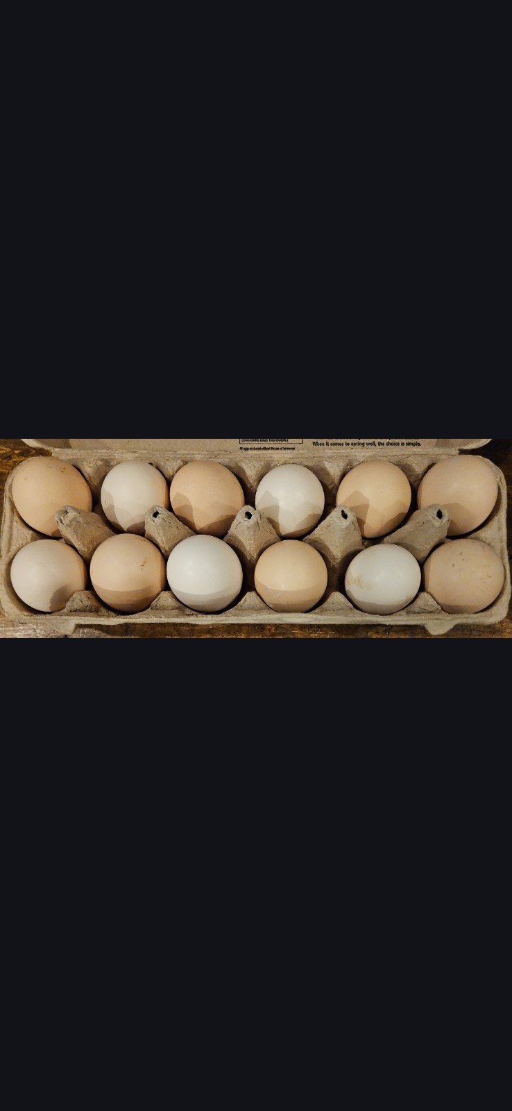 (6) Ayam Cemani Fertile Hatching Eggs