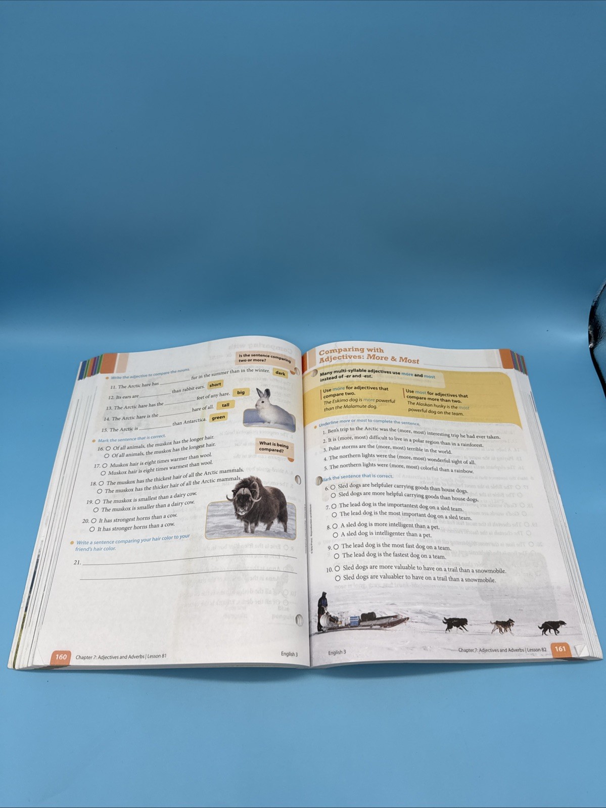 Bob Jones English 3 Writing & Grammar Student WorkText (3rd Edition) 3rd Grade