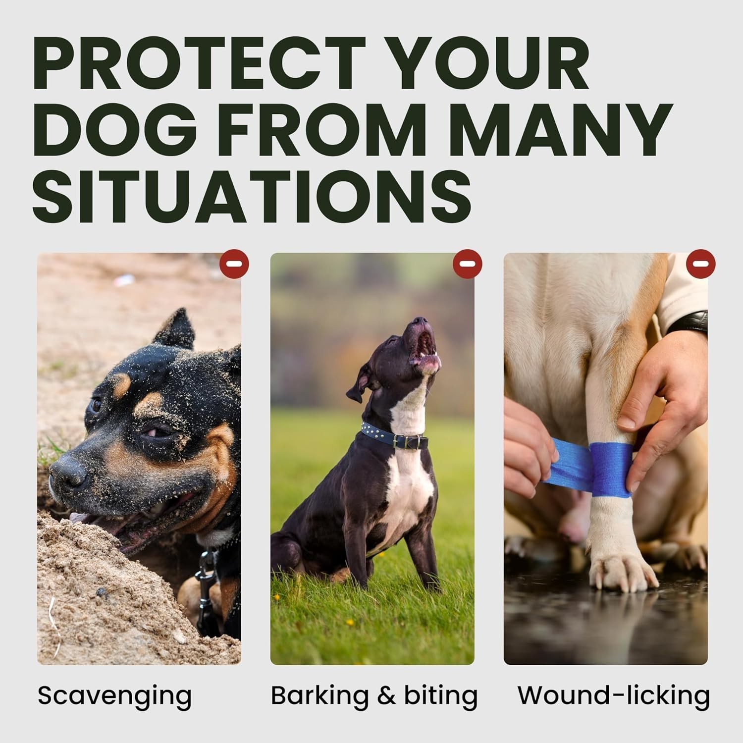 Metal Dog Muzzle with Leather Straps - Comfortable for Training & Walks