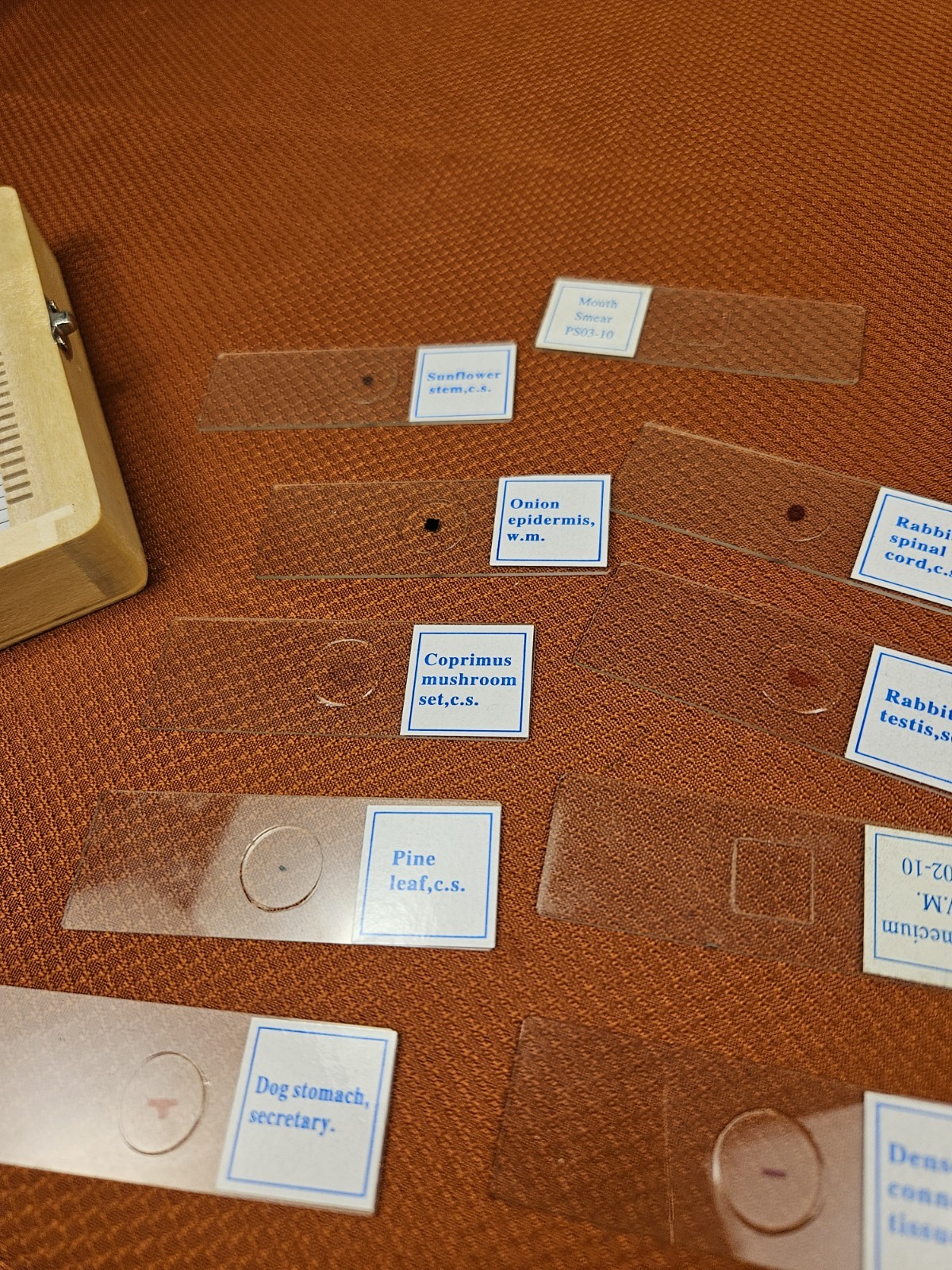 Celestron prepared microscope 25 slide set