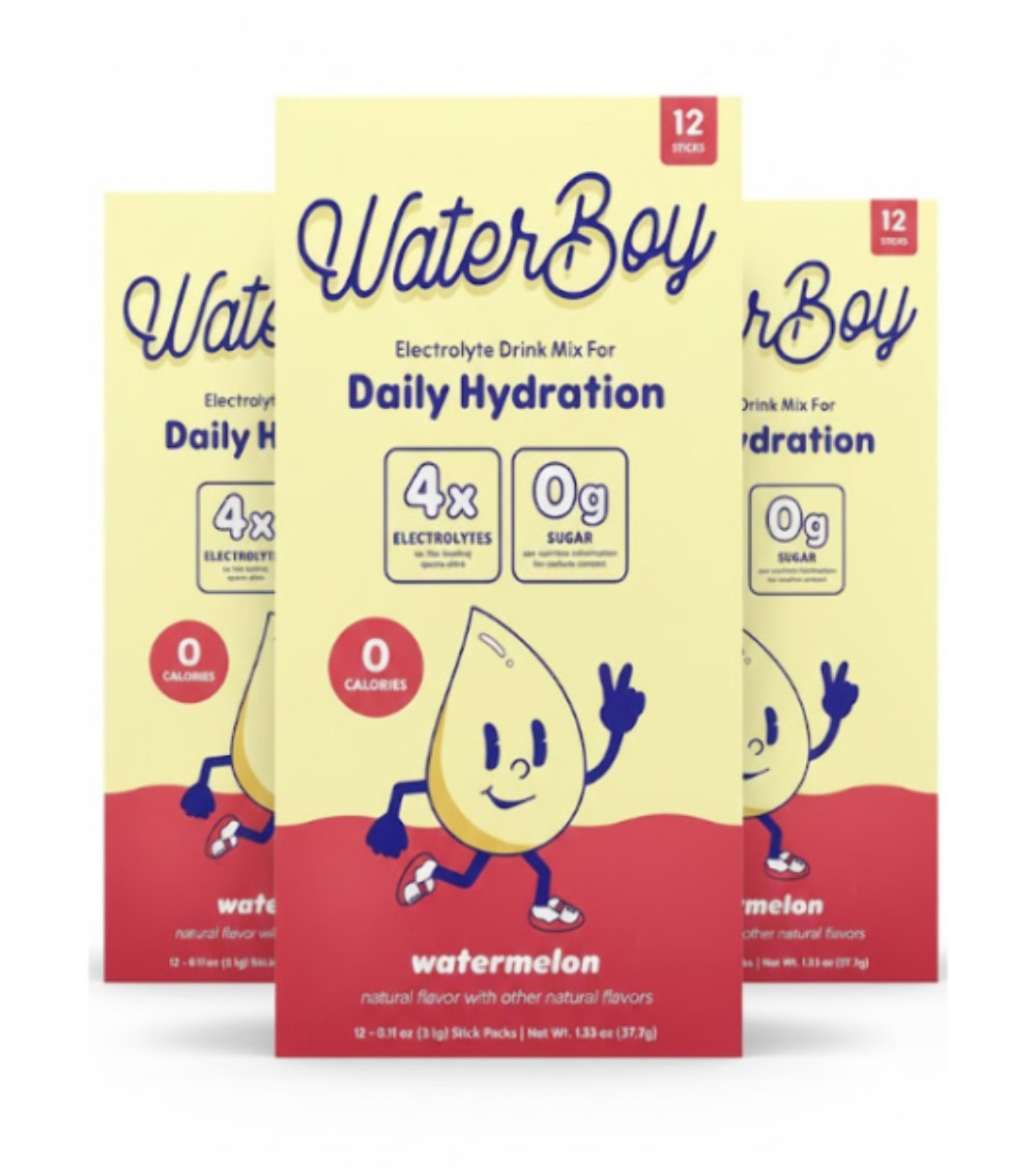 3x Waterboy, Daily Hydration, Electrolyte Drink Mix, Watermelon, 12 Stick Packs