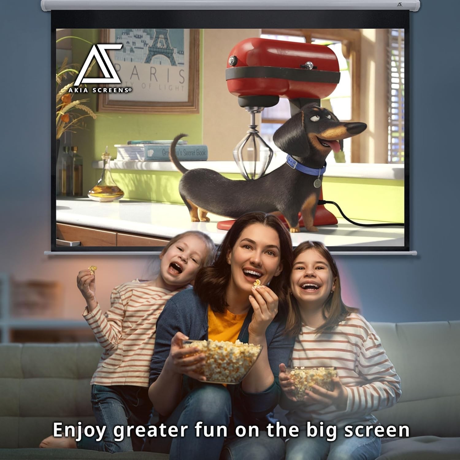 100 Inch Manual Pull Down Projector Screen, 16:10 Retractable Projection Scre...