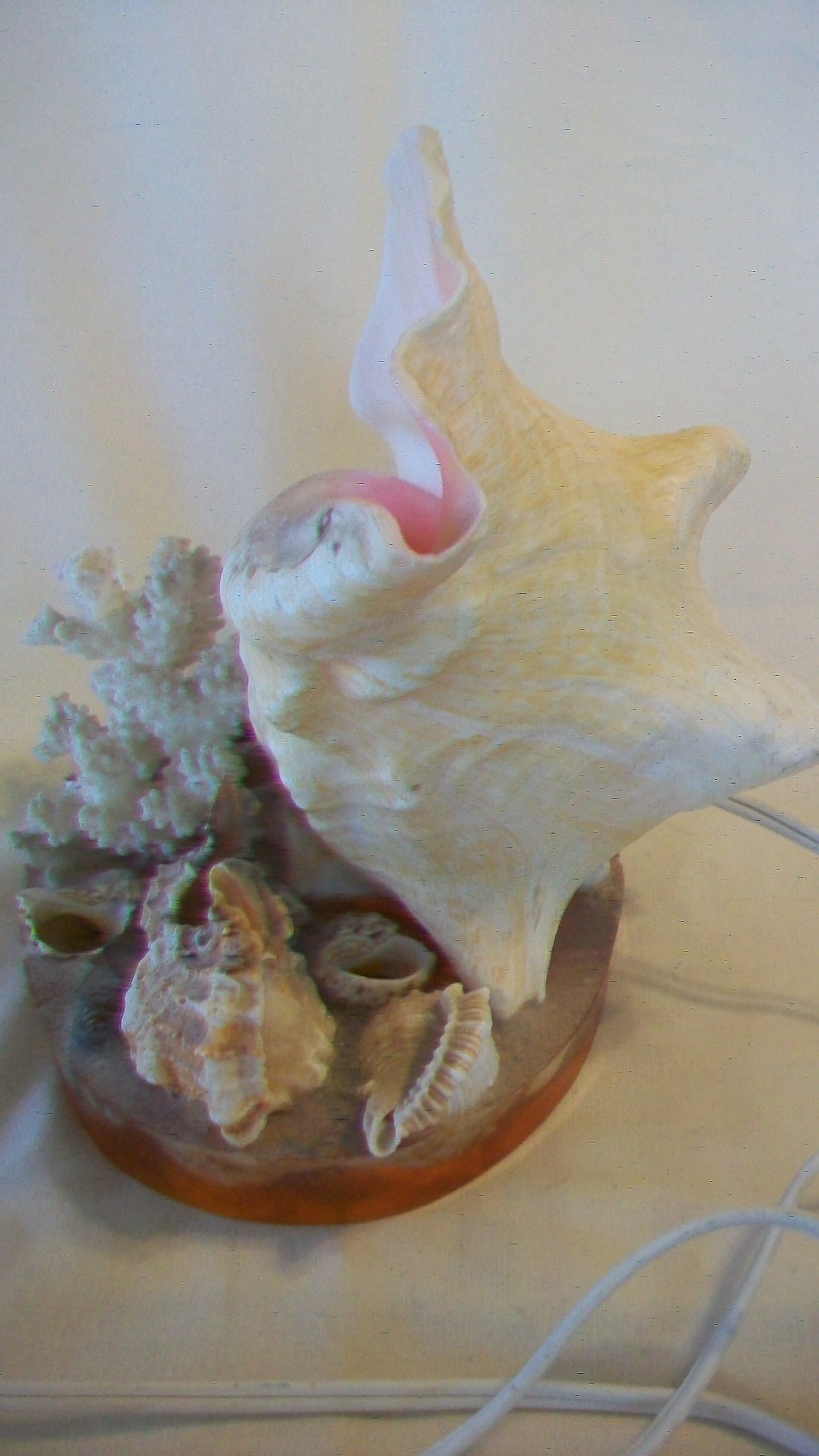 Conch Seashell Night Light with Many Other Shells on Clear Resin Base