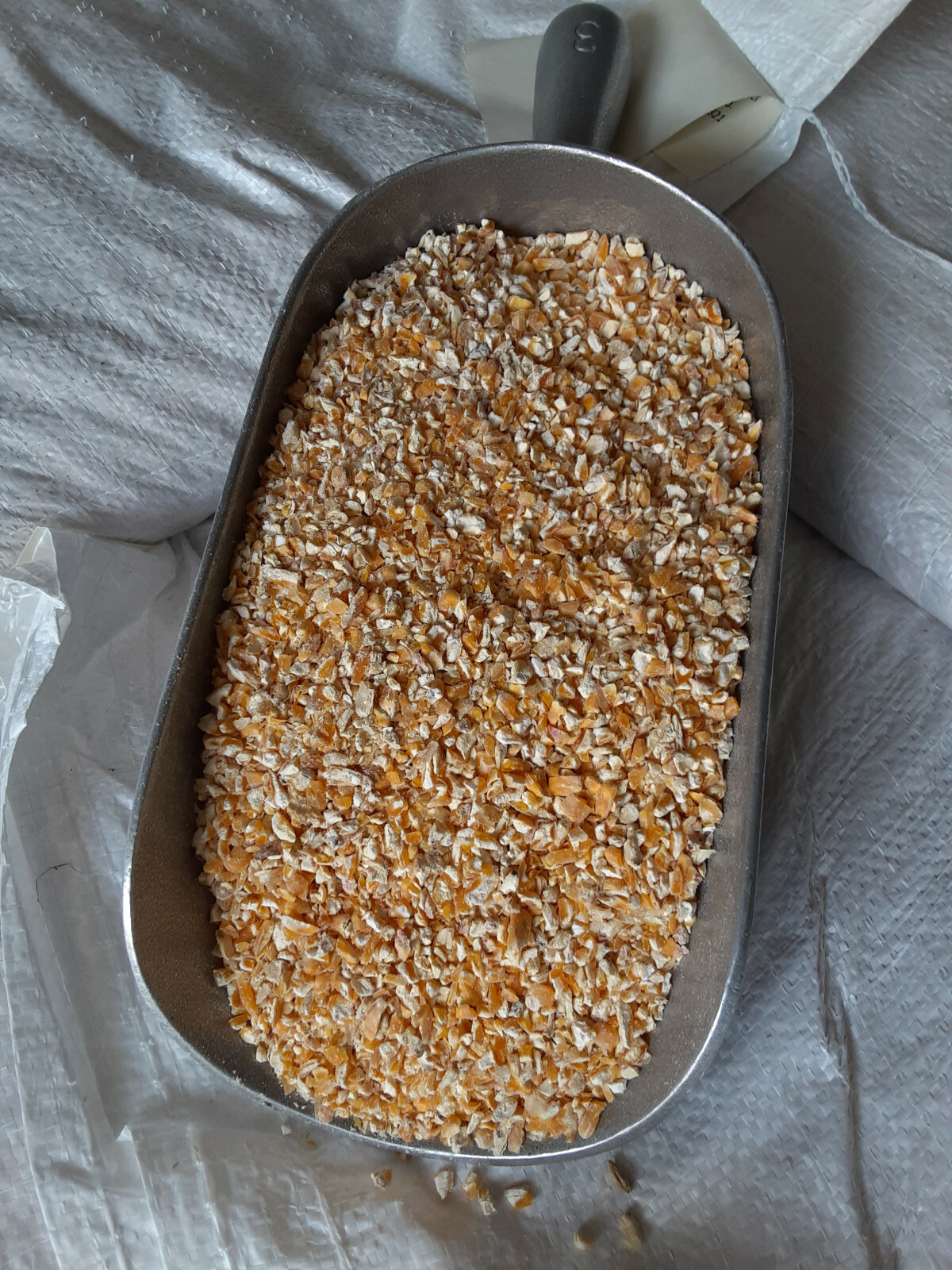 CRACKED CORN Feed Squirrel Wildlife Deer Bird Chicken Farm (5 or 10 lb)