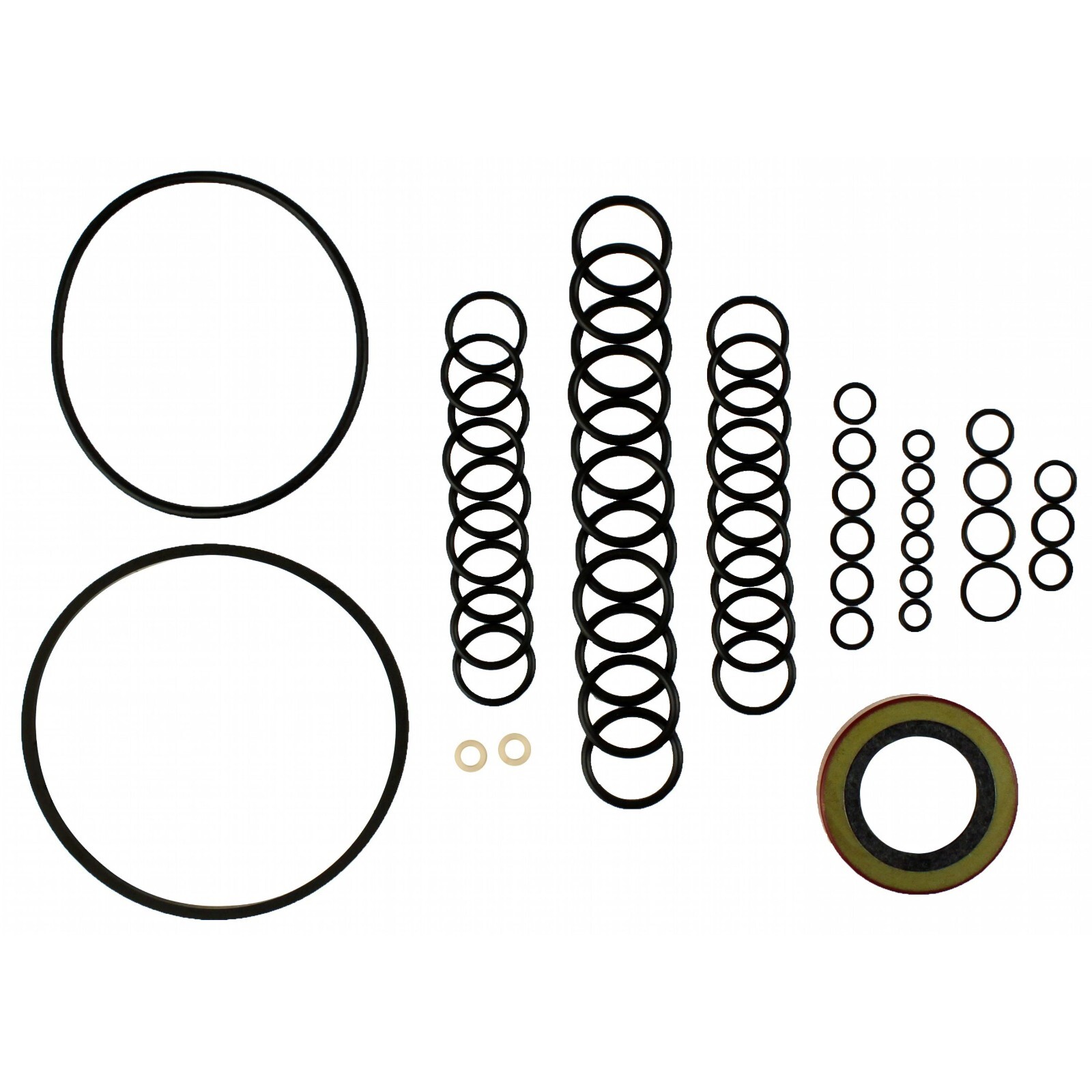 Massey Ferguson 1100 1105 1130 1135 1150 1155 Hydraulic Pump Seal KIt