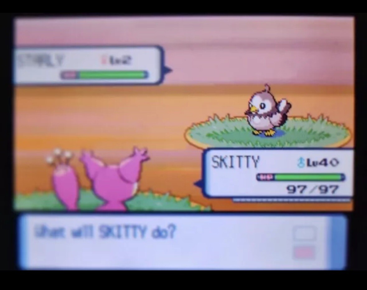 Pokemon Soulsilver Authentic Cute Charm Edition