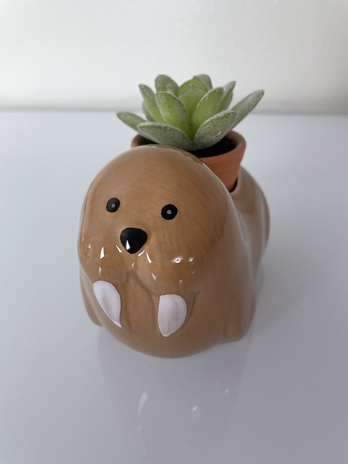 Walrus Ceramic Animal Succulent Planter Pot, Coastal Marine Home Decor, 3.25”