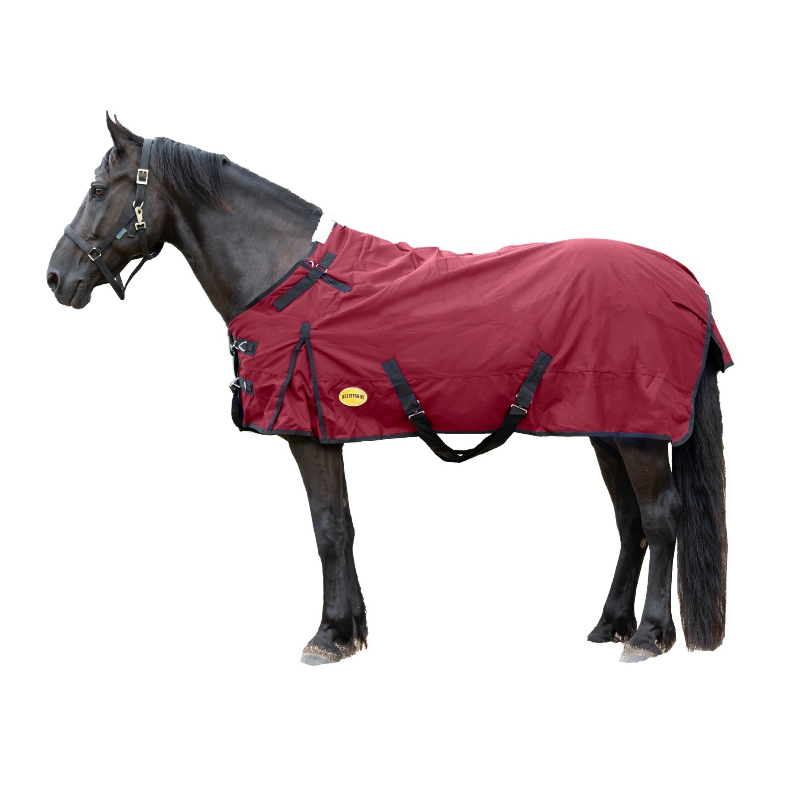 Winter Horse 1680 Denier Turnout Blanket 300 Gram Fill, Double Neck Gusset