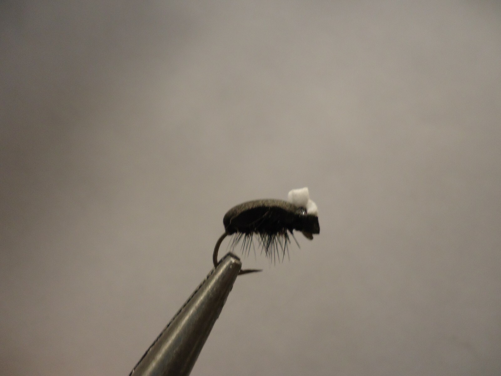 Foam Black Beetle Size 12