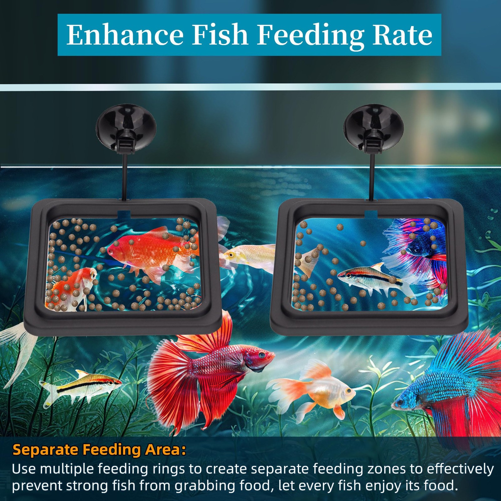 DaToo Fish Feeding Ring Aquarium Square Floating Food Feeder Circle black