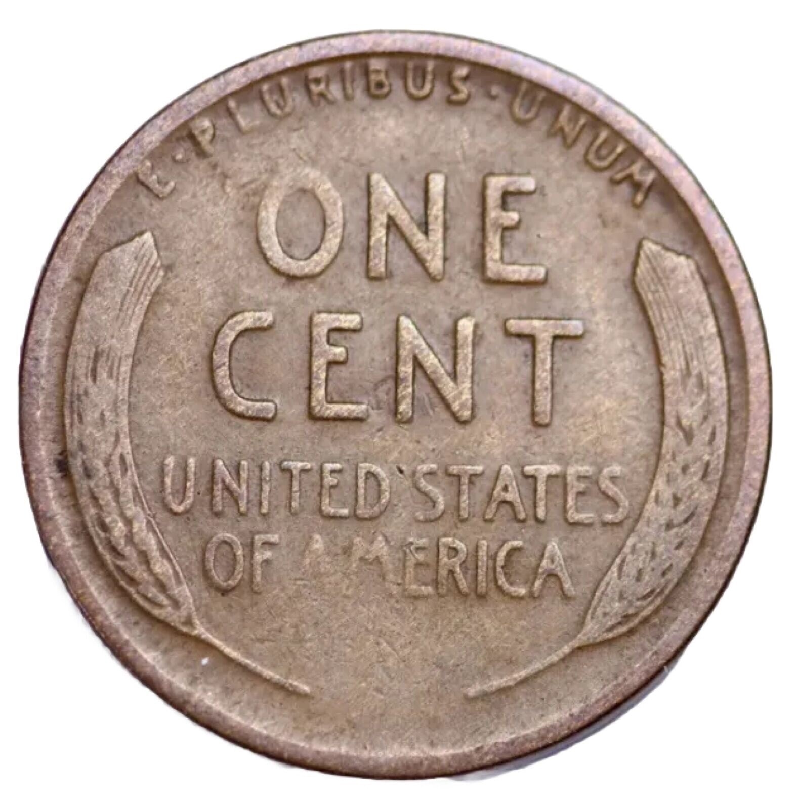 1925-D Lincoln Cent “Best Value On eBay” Fast S&H W/Tracking