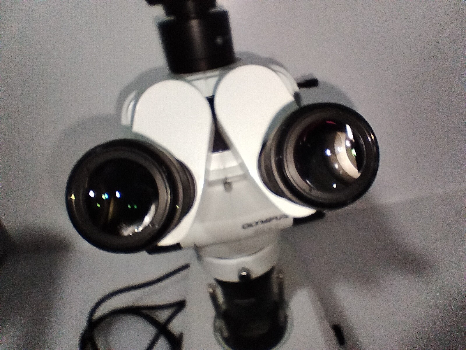 Olympus SZX7 Microscope
