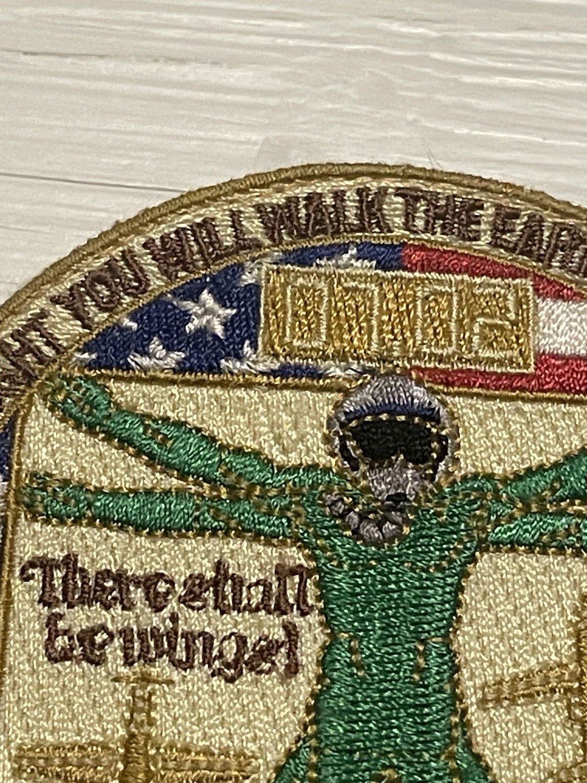 USAF Pilot Training Class Patch 07 02 Uniform Worn Once You Have Tasted Flight