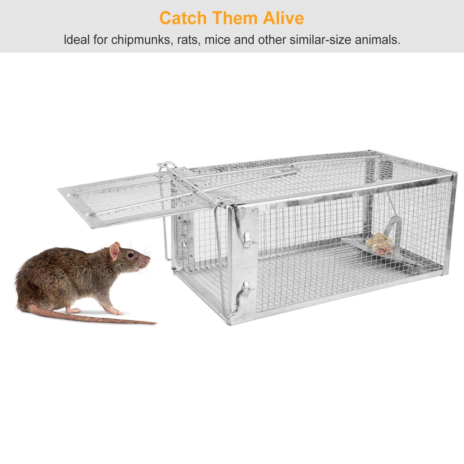 Large Live Humane Cage Trap for Squirrel Chipmunk Rat Mice Rodent Animal Catcher