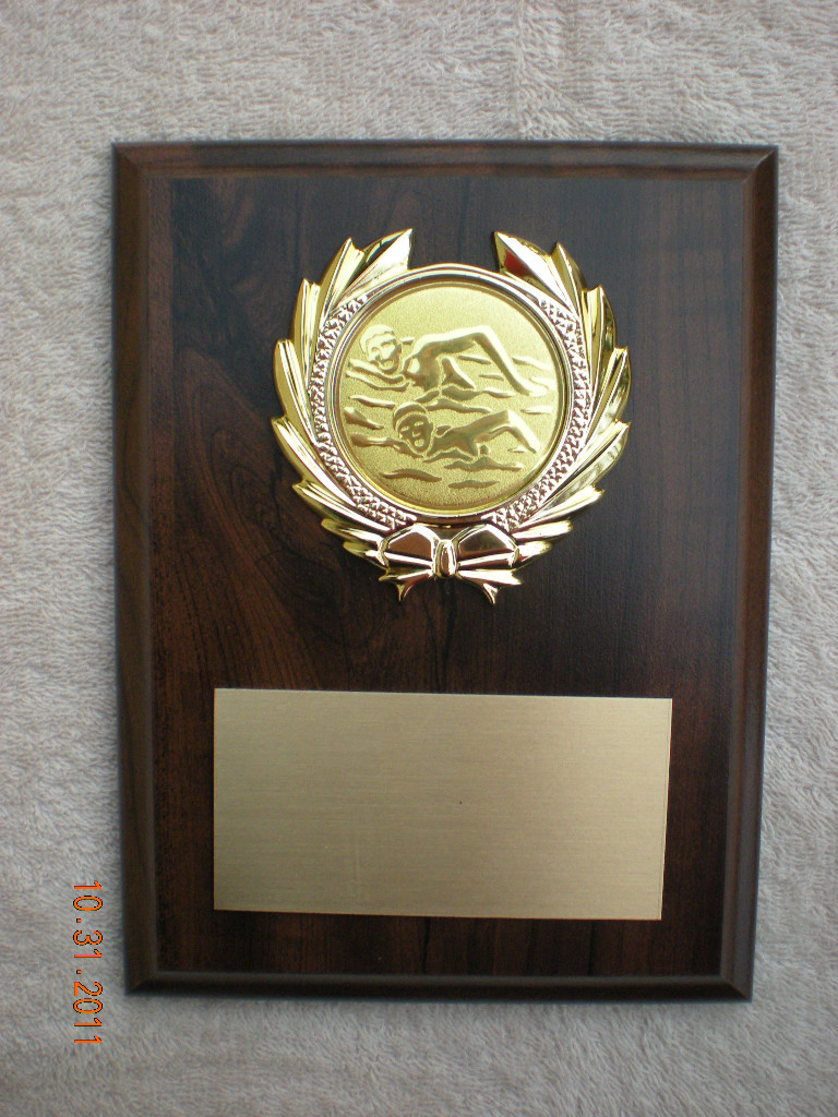 Swimming, or any Other SPORT, Award Plaque 6x8 Trophy FREE engraving