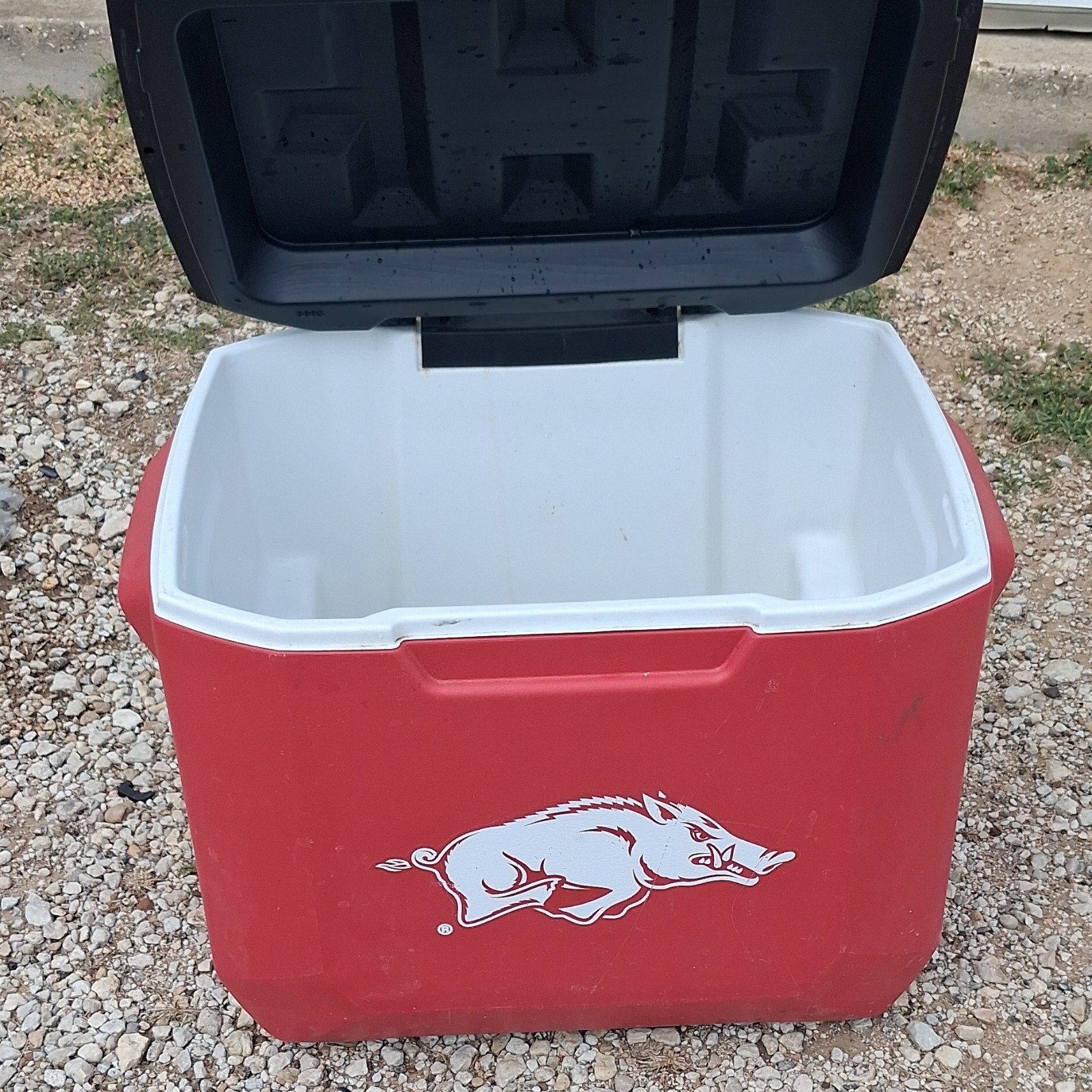 Arkansas Razorbacks Logo Red White Black Ice Chest Cooler Plastic Solid Pattern