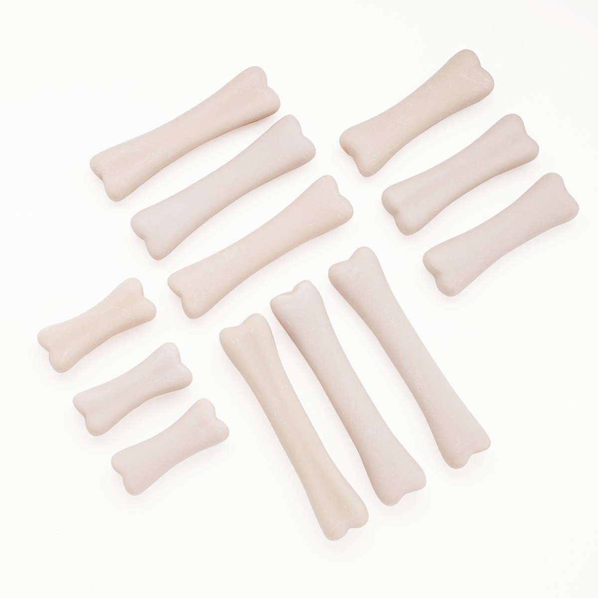 Yellow Door Dinosaur Bones Match & Measuring Set