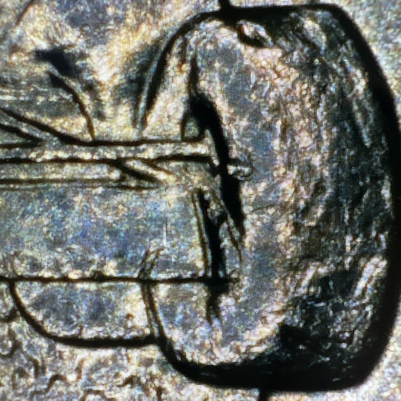 2002-P Indiana State Quarter Error. Die Break, DDR/DDO