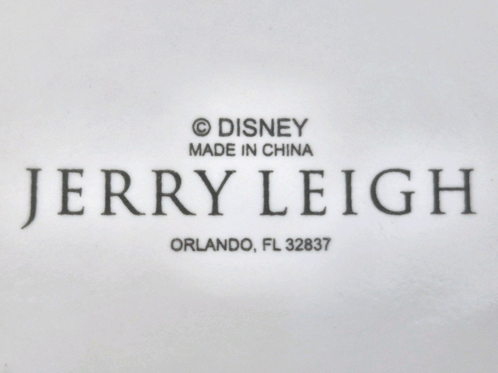 Jerry Leigh Disney Dreams Florida Ceramic Mug 11oz