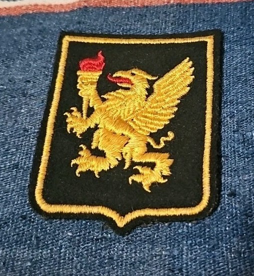 WWII 23rd Composite Squadron Fighter Pilot Patch USAF Early TFS Original