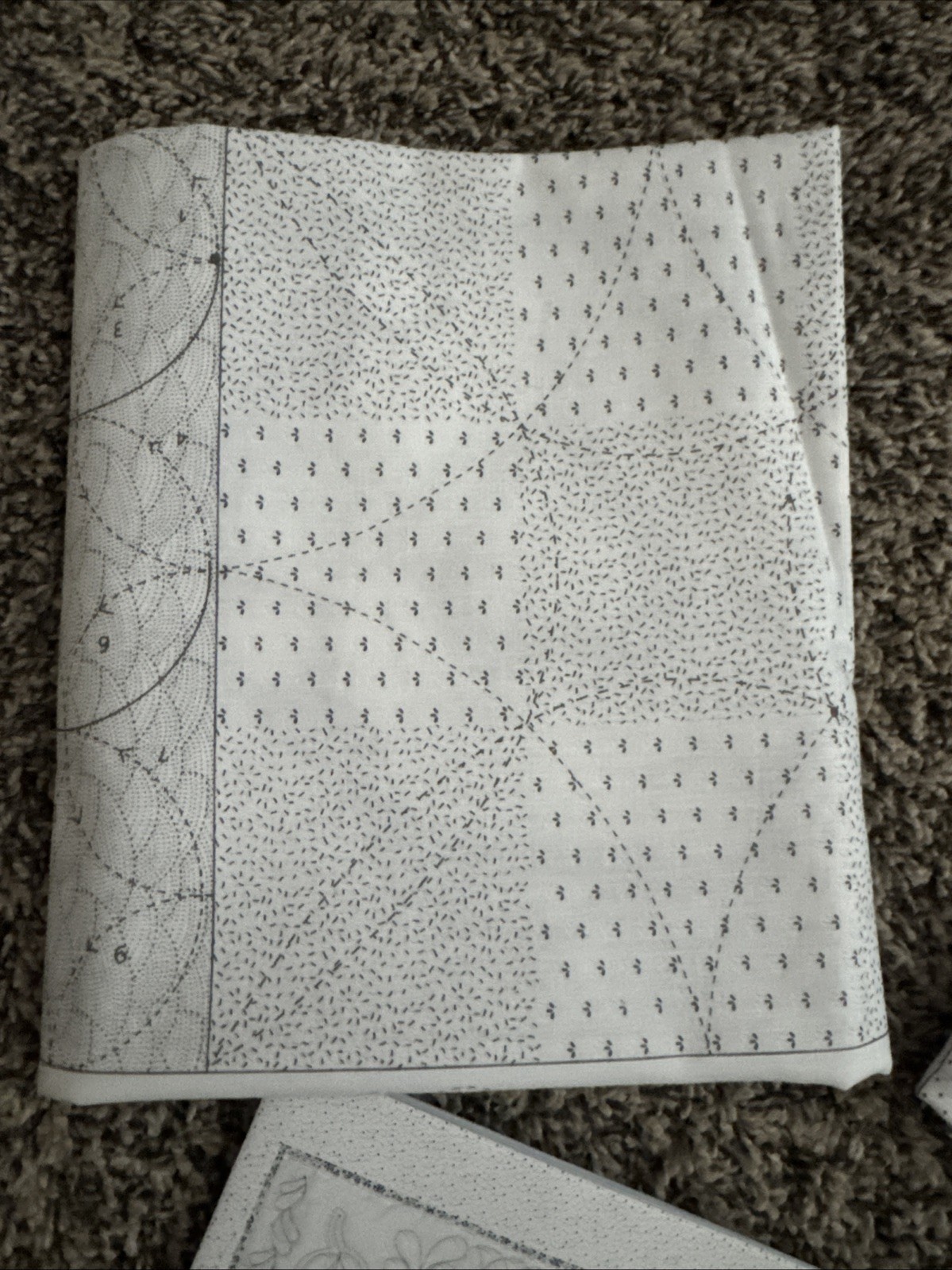 Skillbuilder Companion for Machine Quilters Renae Allen
