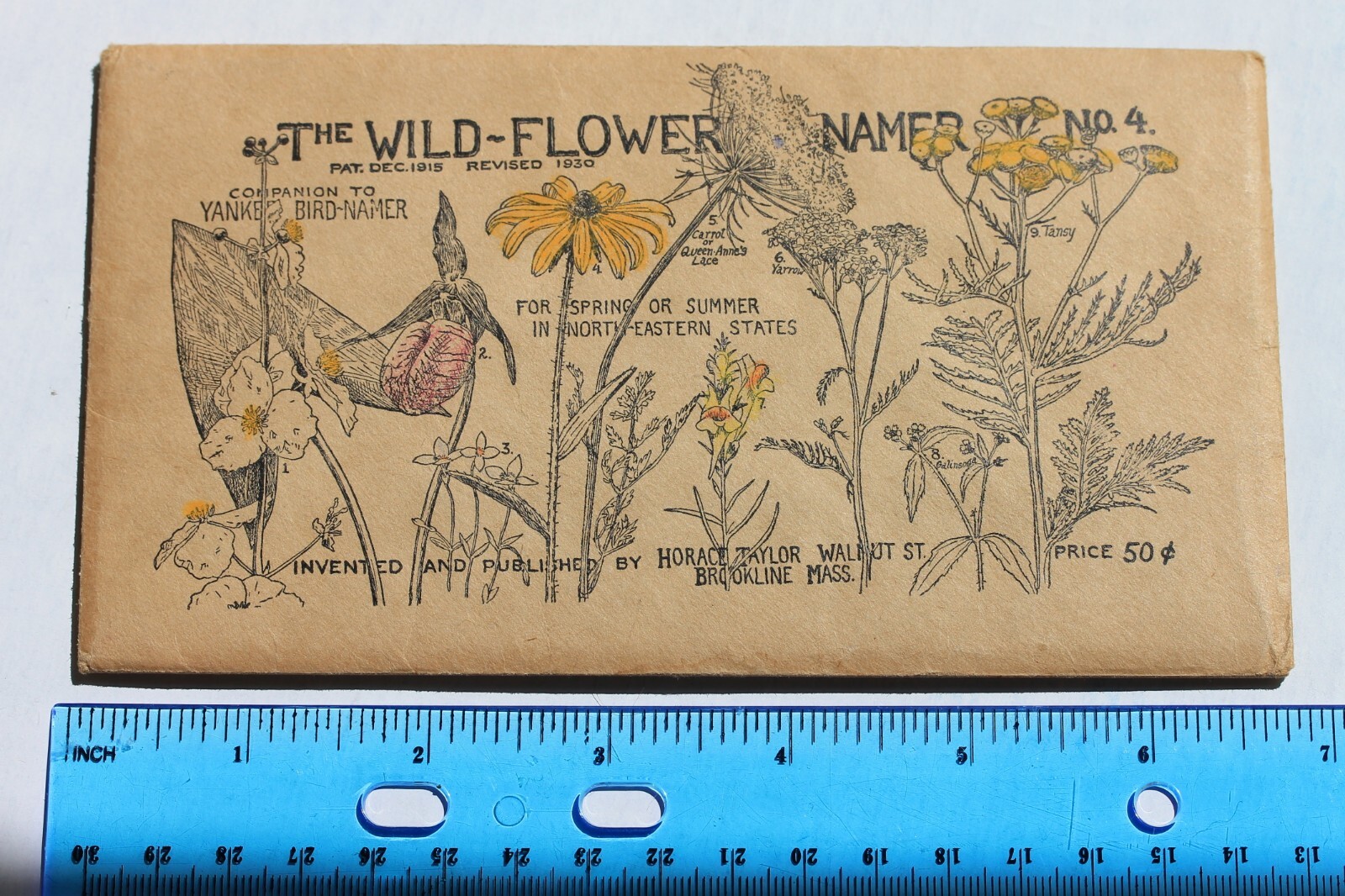 Vintage THE WILD FLOWER NAMER Nature Key No. 4, 1930 Horace Taylor
