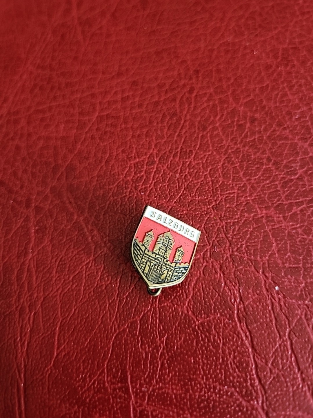 Vintage Pin Hatpin Hiking Pin Brooch Salzburg