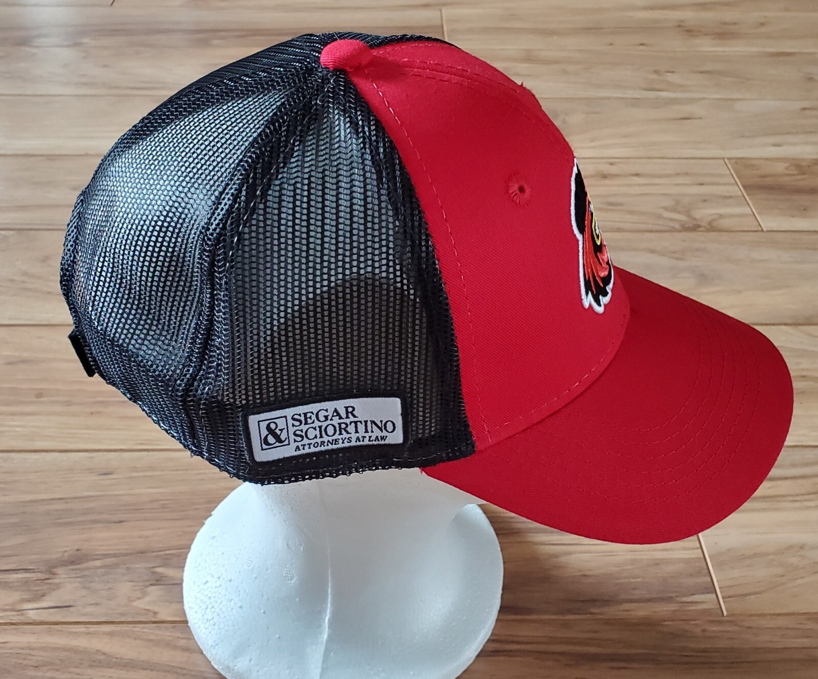 Rochester Red Wings Nationals Baseball Hat MLB Minor League New Logo NEW