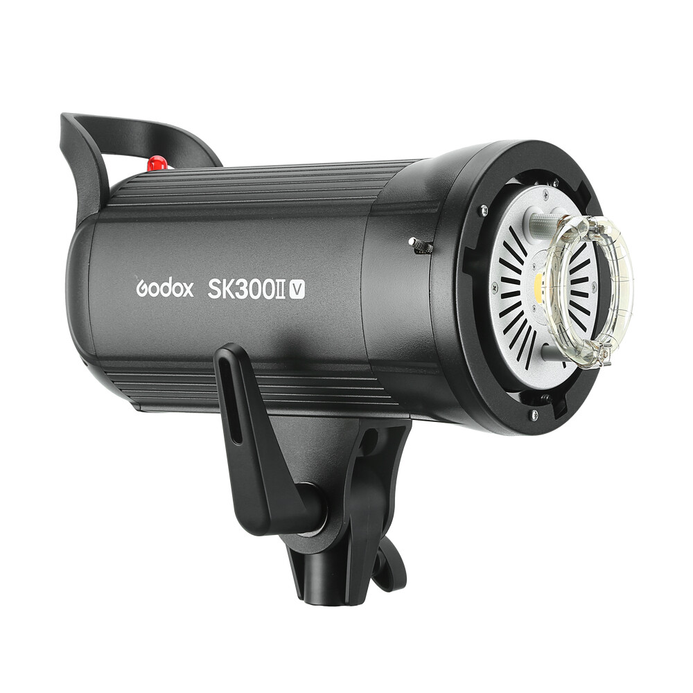 Godox SK300II-V Studio Strobe Flash with Reflector+60*90cm Grid Softbox+2M Stand
