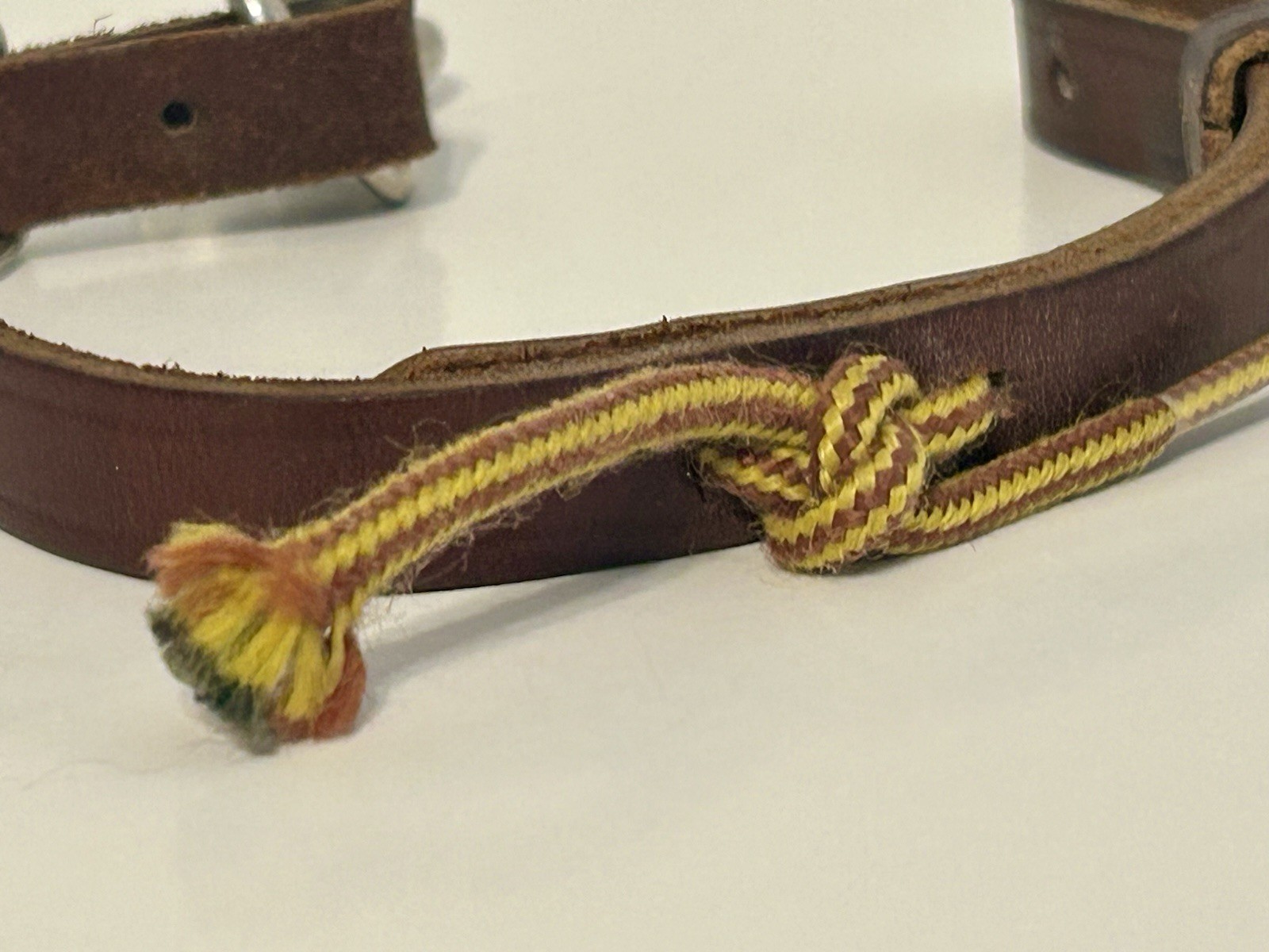 champion turf leather collar horse equestrian
