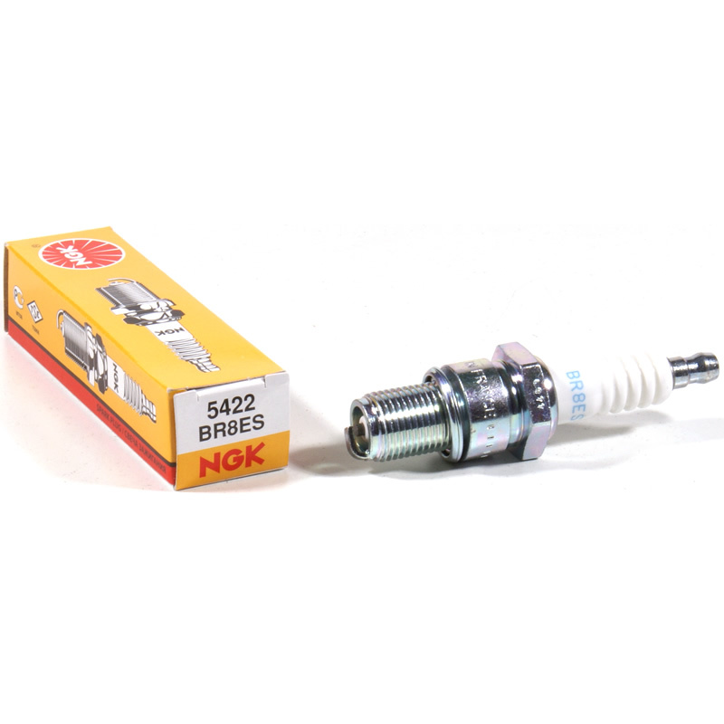 Polaris Sportsman Magnum Xpedition Xplorer Trail Blazer Cyclone Spark Plug BR8ES