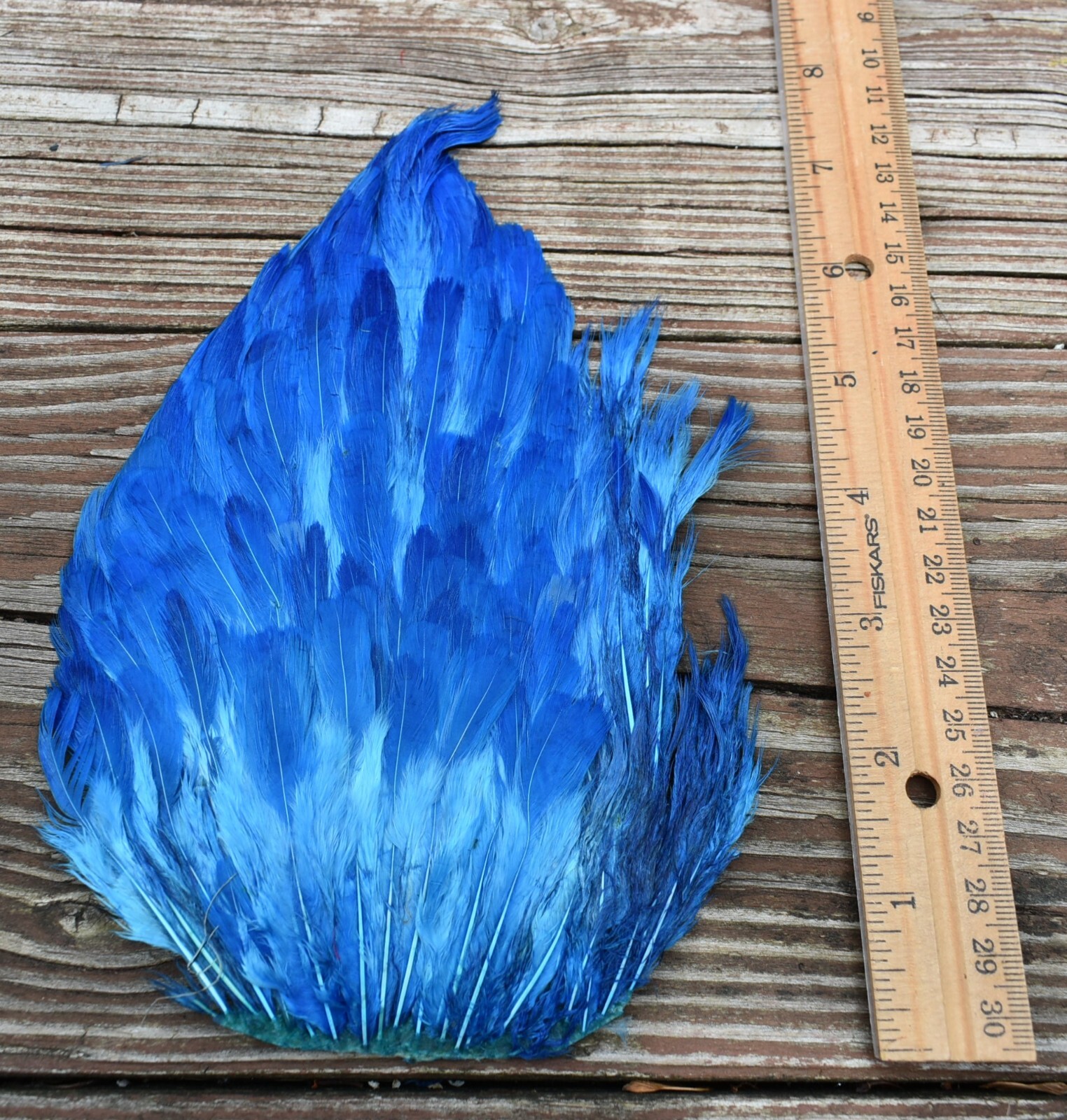 Lot 212,  Dyed Blue India Hen Back Saddle Feathers for Fly Tying