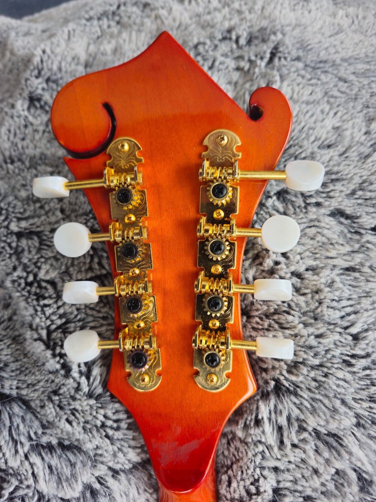 Michael Kelly Mandolin