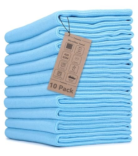 10-Pack (16"x16") 420GSM Premium Edgeless Microfiber Towels for Cars, Ultra