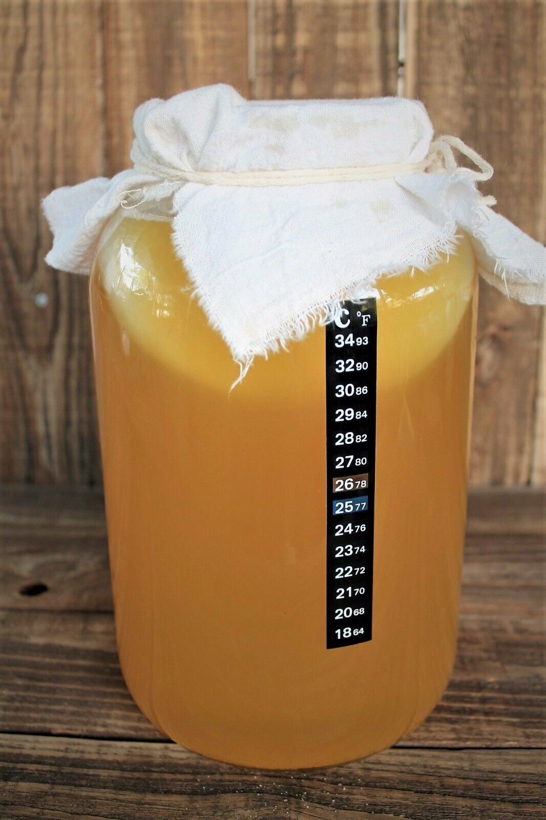 Fermenter Temperature Adhesive Sticky Thermometer