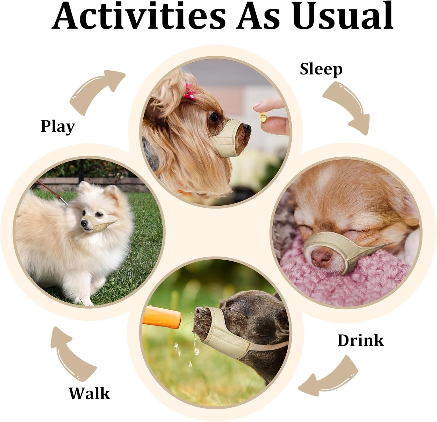 Short Snout Dog Muzzle Small Muzzle Chihuahua Shih Tzu American Bully Boxer