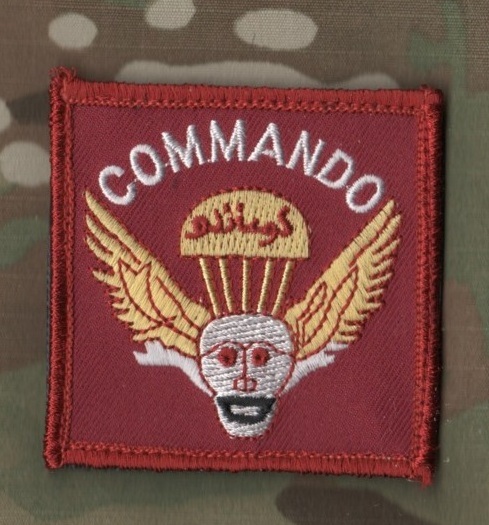 KABUL DIPLOMATIC SECURITY DSS vêlkrö PATCH: ANTITERRORISM ASSISTANCE PROGRAM