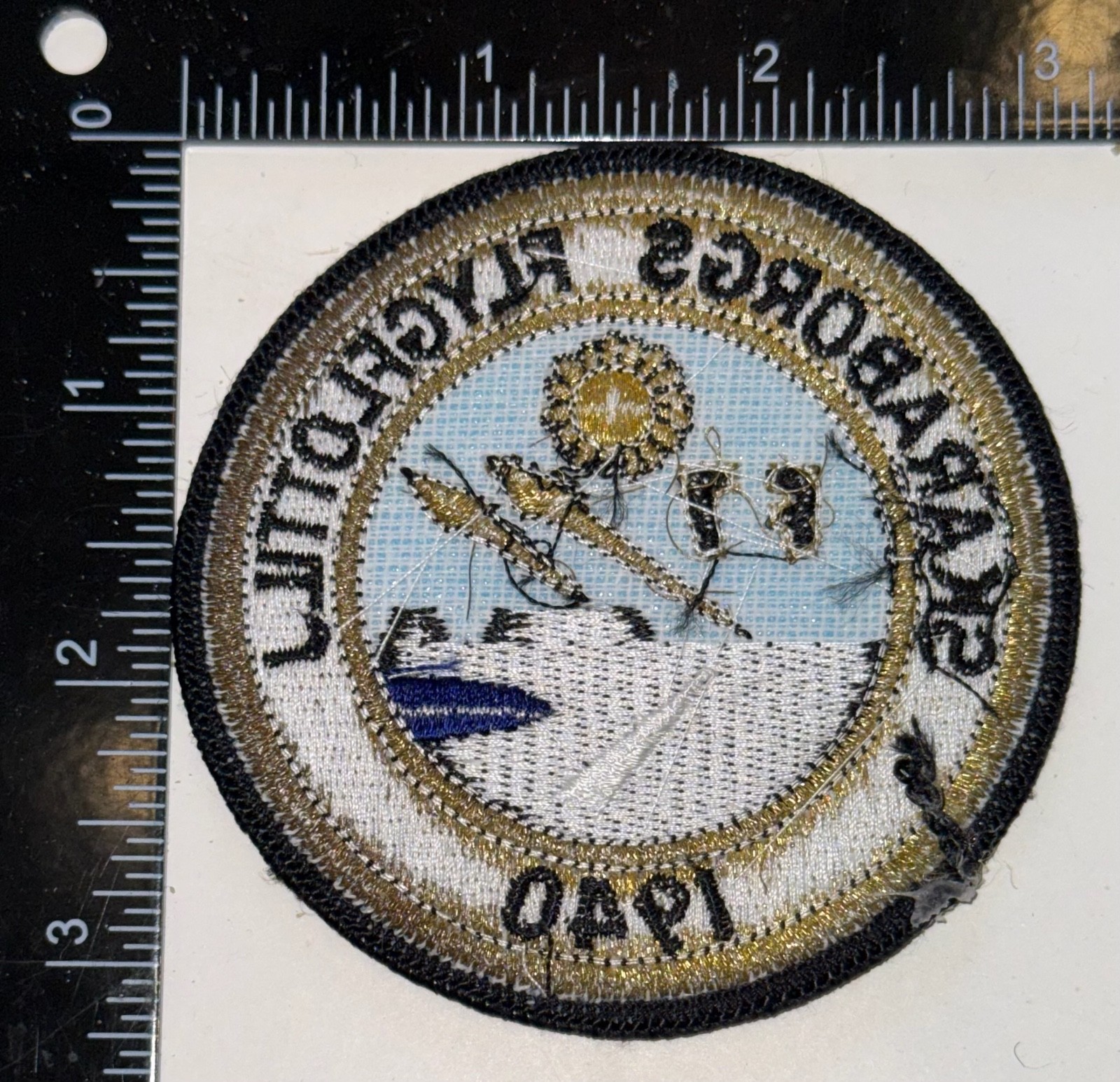 Swedish Air Force Skaraborgs flygflottilj F7 Patch
