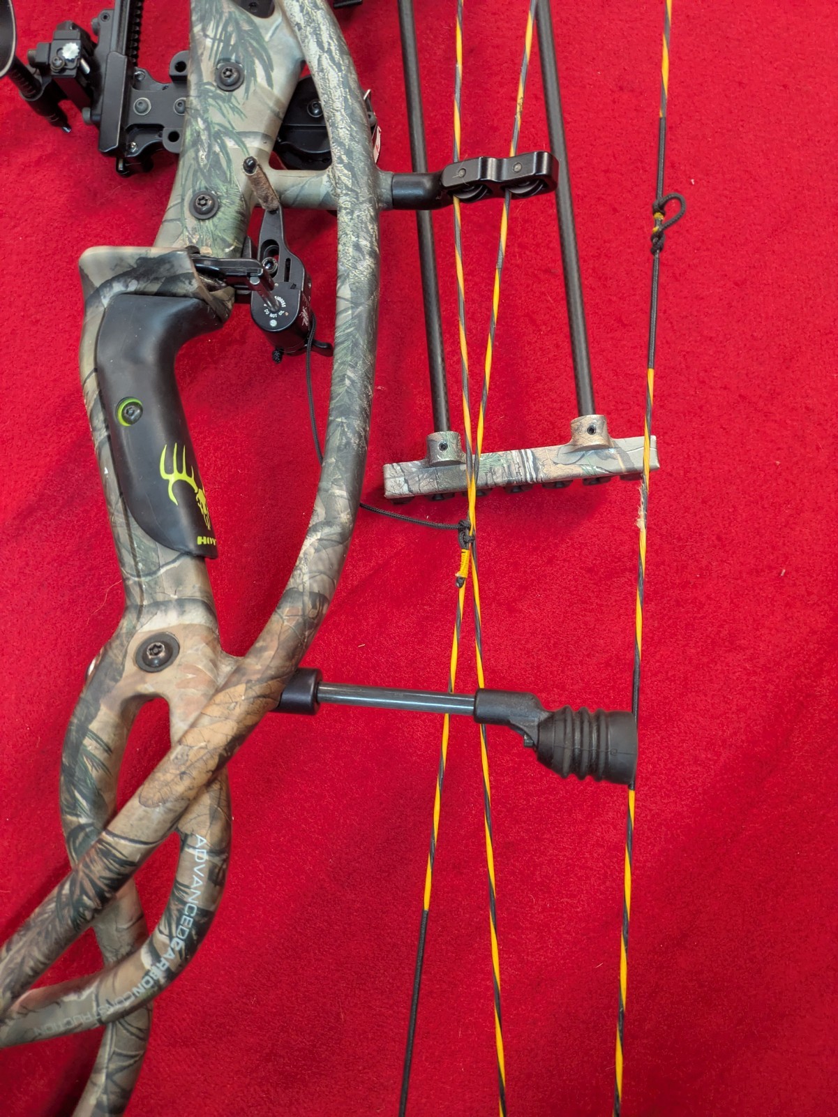 Hoyt Carbon Matrix Compound Bow