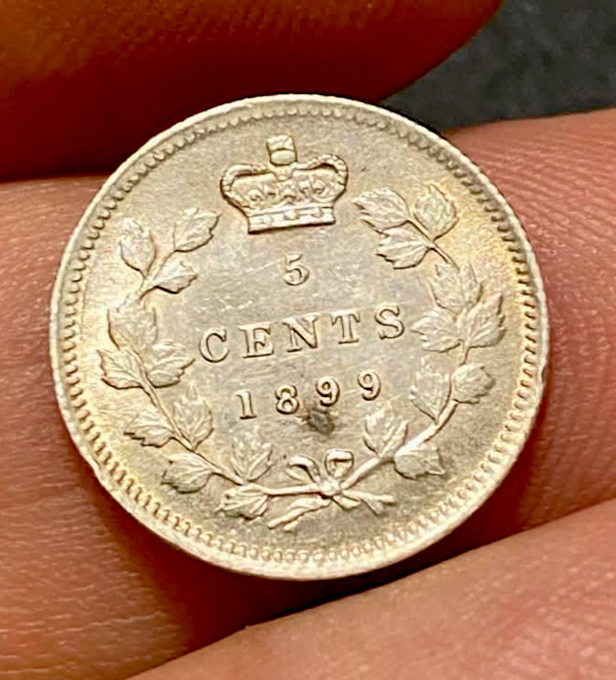 Canada, 1899 AR 5 Cents, Sharp, Lustre