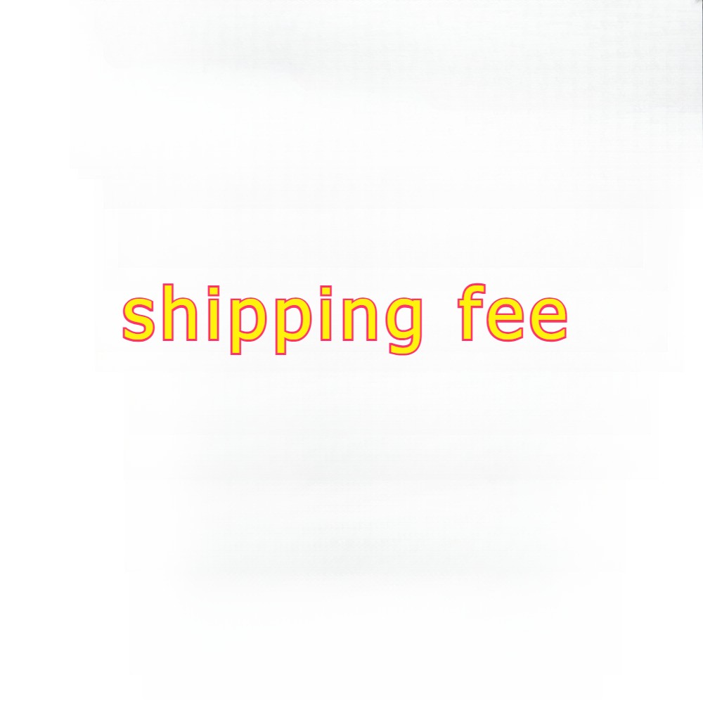 extra shipping fee for 1PC EPJ310 Drive Belt