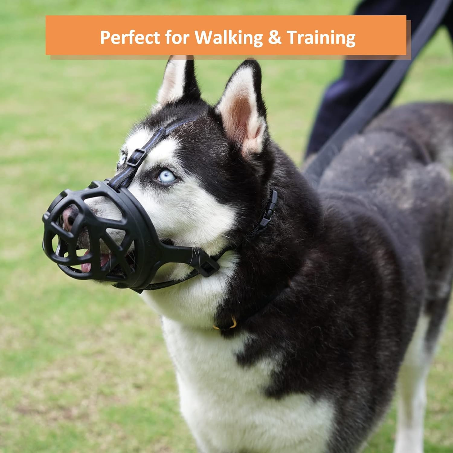 Dog Muzzle, Basket Muzzle for Biting, Chewing and Scavenging, Humane Cage Mouth