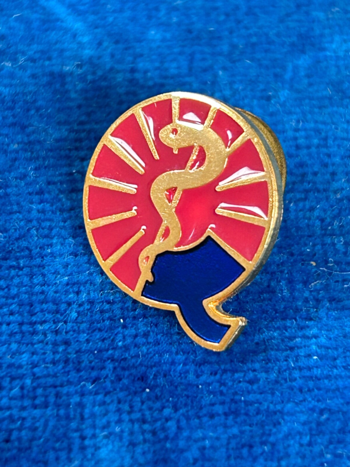 CMA AMC Canadian Medical Association Medicale Canadienne Logo  colored Lapel Pin