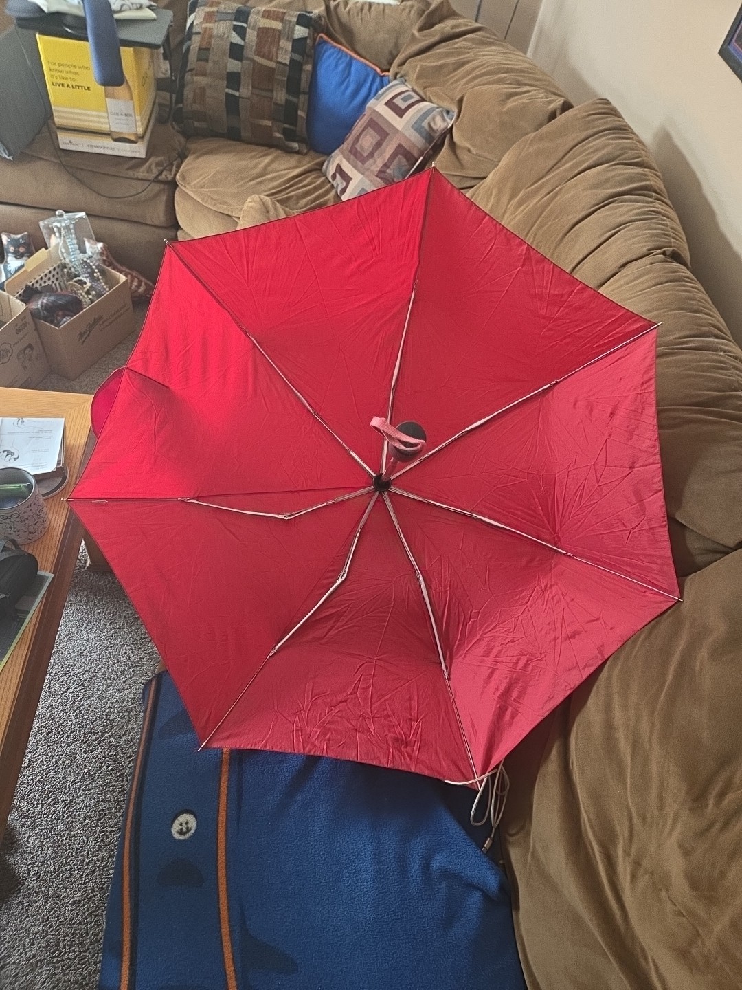 Totes Auto Open Umbrella Large Coverage Compact Red