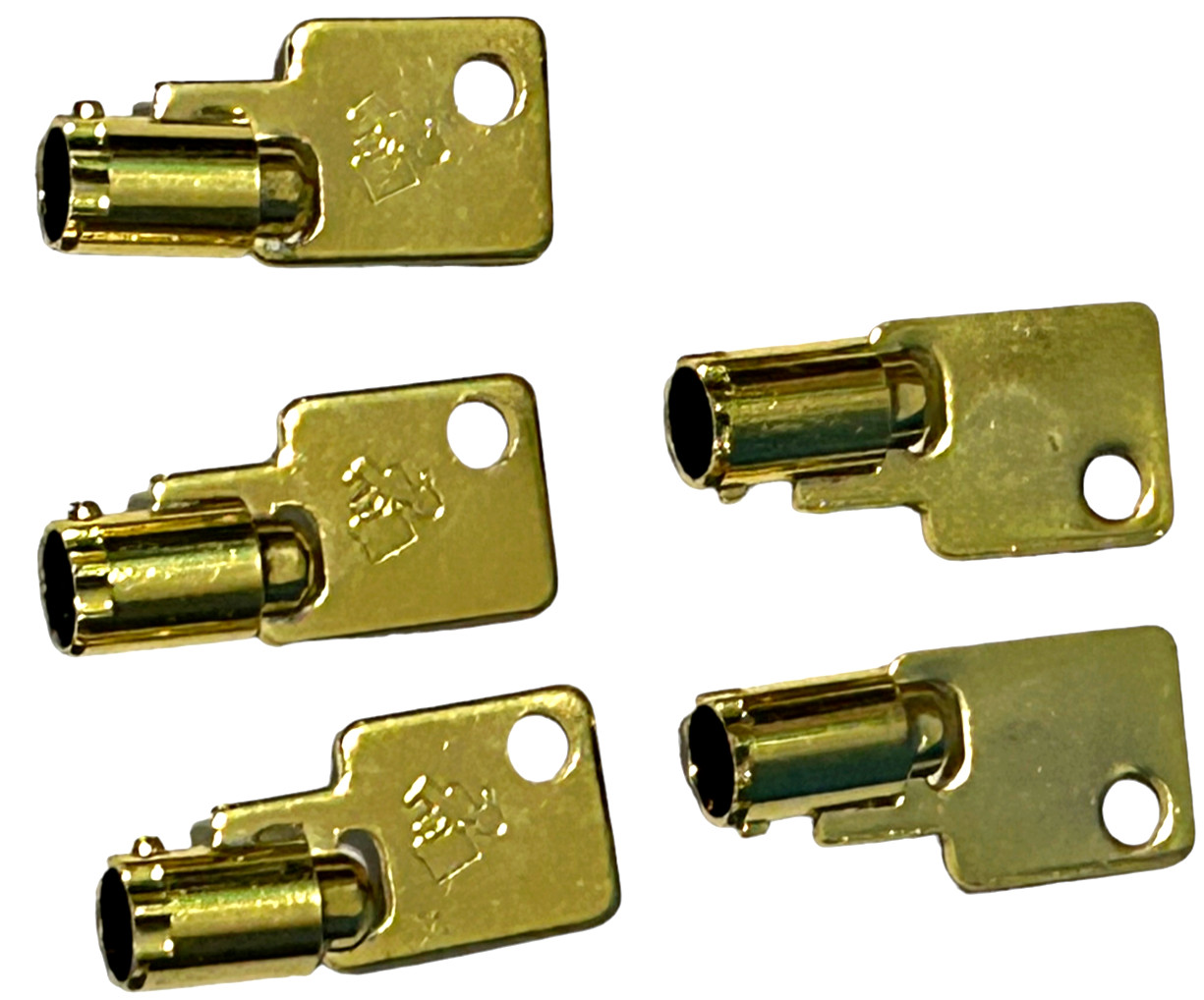 5 Golden Keys for Wall Art or Fun Projects - Gold Color Key
