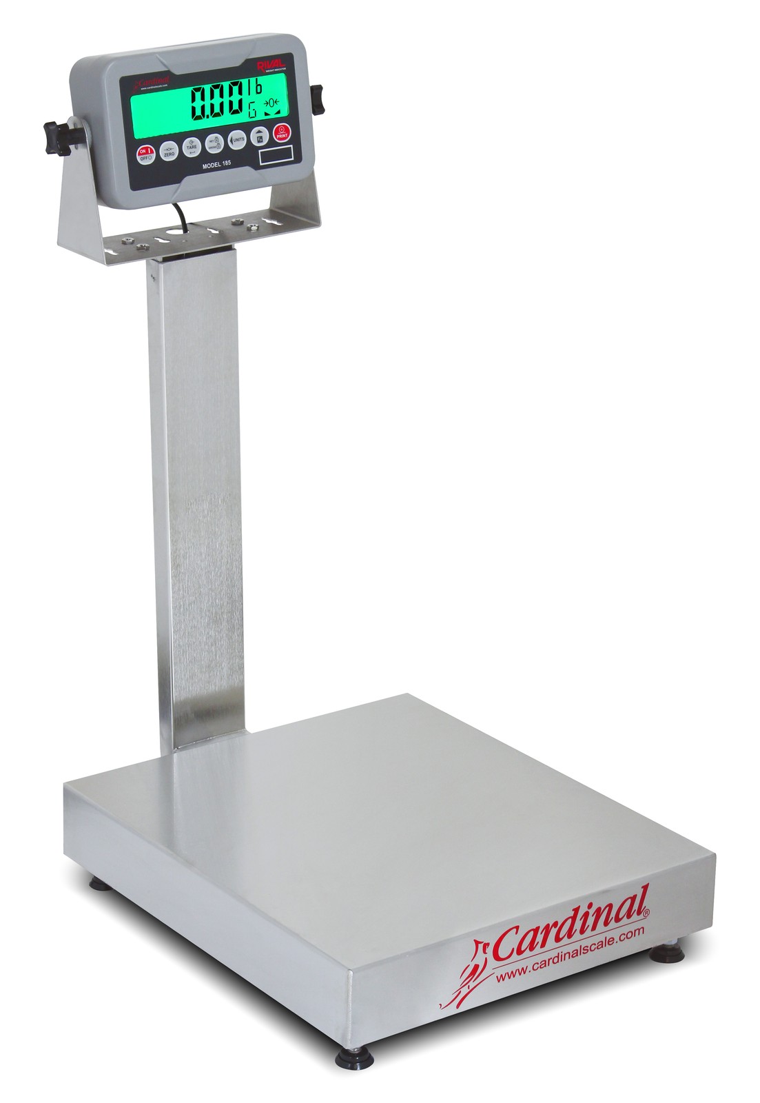 Cardinal Scales EB-30-185B Bench Scale, Electronic, 12" x 10", 30 Lb Capacity,