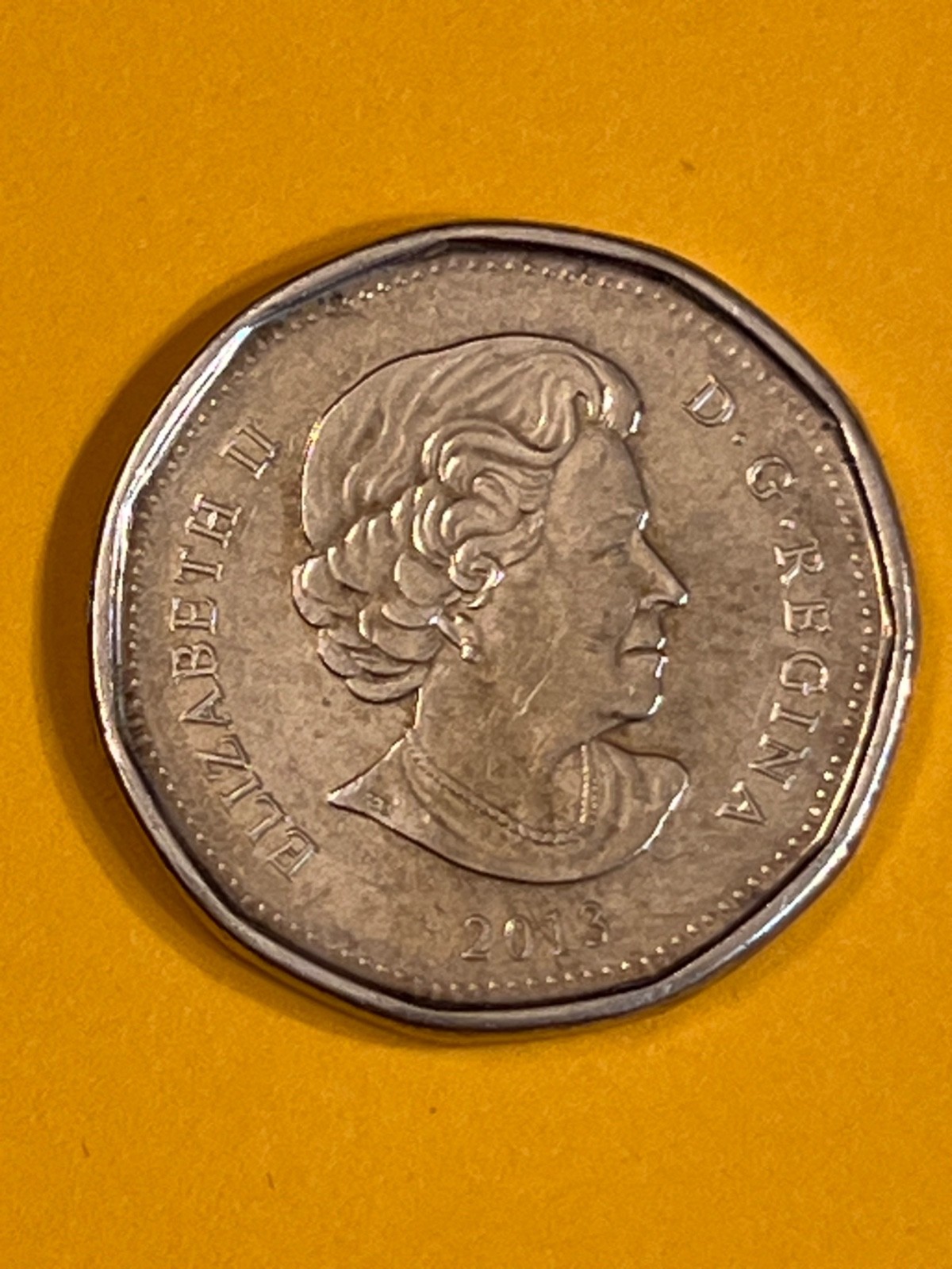 COIN CANADA 2013 DOLLAR FREE SHIPPING