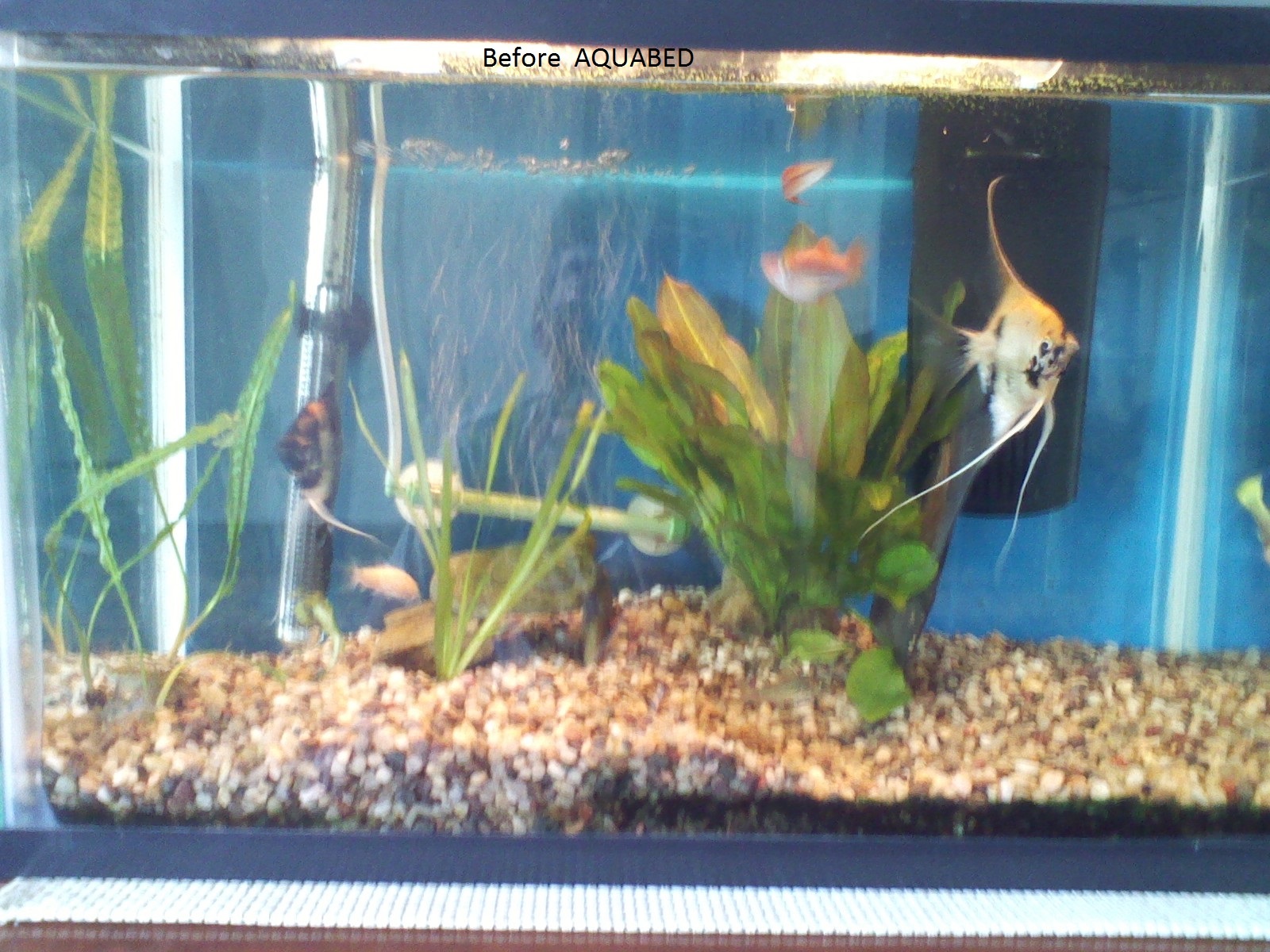 Aquarium plant soil